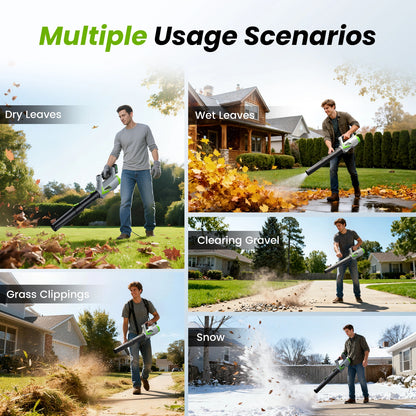 20V 650CFM Cordless Leaf Blower (2 x Batteries and Charger)