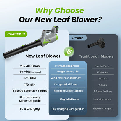 20V 650CFM Cordless Leaf Blower (2 x Batteries and Charger)