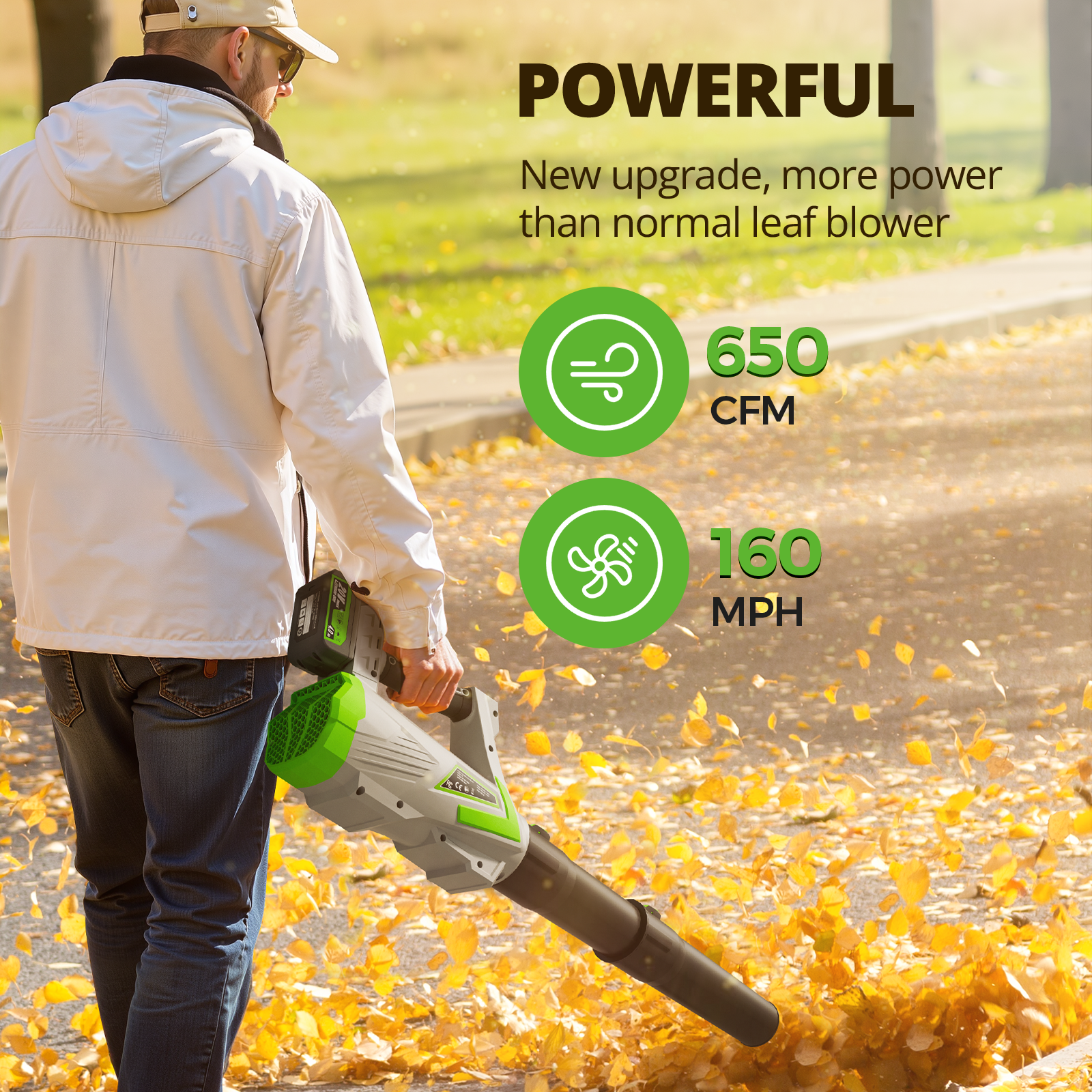 20V 650CFM Cordless Leaf Blower (2 x Batteries and Charger)