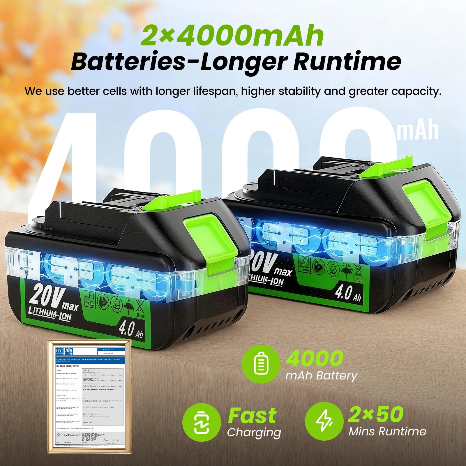 20V 650CFM Cordless Leaf Blower (2 x Batteries and Charger)